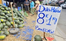 Cam sành, dưa hấu ‘dội chợ’, bán đầy vỉa hè và chợ mạng