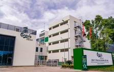 Hãng bia Carlsberg tại Việt Nam lỗ hơn 800 tỷ đồng năm 2025, dù doanh thu "khủng" gần 16.000 tỷ đồng