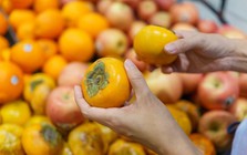 Chuyên gia Nhật tiết lộ 5 loại quả giúp tăng cường miễn dịch, giảm nguy cơ ung thư ruột kết tới 50%, chợ Việt nào cũng bán