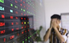 Gia đình Chủ tịch DIG vừa bị bán giải chấp gần 12 triệu cổ phiếu