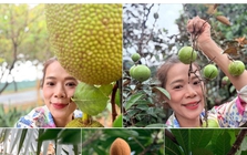 Nữ đại gia Vbiz là phó chủ tịch tập đoàn dược, sở hữu vài biệt thự nghìn m2: Tuổi U55 thích làm "nông dân", khoe gia tài lớn "đếm mỏi tay" ai cũng trầm trồ