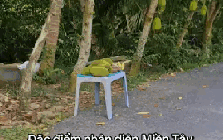 Lật tung mọi nơi chỉ miền Tây có "đặc sản" này