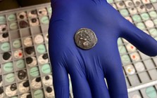 Dùng cổ vật hơn 2.000 năm trả tiền vé xe bus mà không hay