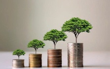 Loạt doanh nghiệp chốt quyền trả cổ tức trong tuần từ ngày 16/3-20/3