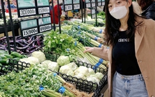 Đi chợ tháng 3: Tránh xa 5 loại rau trái mùa nhạt toẹt, dồn tiền mua 5 "cực phẩm" mùa xuân này mới là chuẩn bài