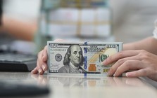 Giá USD tự do tăng mạnh 300 đồng, NHNN hút về lượng lớn VND trong tuần qua