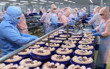 Lãi kỷ lục 2025, một công ty chốt ngày chi trả cổ tức tiền mặt 30%