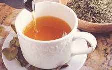 8 loại nước mà ung thư rất “sợ”: Có loại ai cũng uống mỗi ngày!