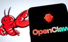 Cơn sốt “nuôi tôm” lan khắp Trung Quốc nhưng cảnh báo an ninh mạng cho thấy nhiều rủi ro đáng lo