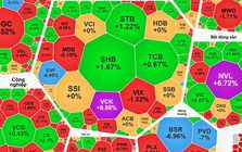 Chuyện gì xảy ra với cổ phiếu Novaland?