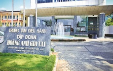 HAGL bổ nhiệm Phó Tổng Giám đốc