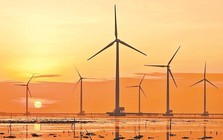 Rủi ro pháp lý và tài chính với EVN trước nguy cơ bị nhà đầu tư năng lượng tái tạo khởi kiện quốc tế