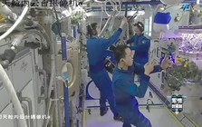 Phi hành đoàn Thần Châu-21 lần đầu thu hoạch “cà chua vũ trụ”