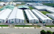 Tandoland lỗ ròng hơn 29 tỷ đồng trong năm 2025, nợ phải trả vượt 6.100 tỷ đồng