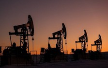 Giá dầu bật tăng mạnh