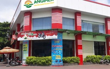 Vốn chủ sở hữu âm, Angimex không còn đáp ứng điều kiện công ty đại chúng