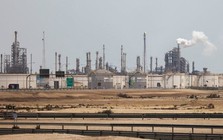 Không phải đất hiếm, Việt Nam sở hữu kho báu 50 tỷ tấn, cả châu Á đang quay lại săn tìm khi giá dầu tăng phi mã