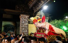 Cả làng La Phù thức trắng vì 17 “ông lợn”: Lợn ăn trứng, ngủ màn, mùa đông sưởi than để chờ giờ rước đình