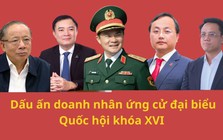 Từ Chủ tịch 71 tuổi đến Phó TGĐ 32 tuổi: Dấu ấn doanh nhân ứng cử đại biểu Quốc hội khóa XVI