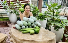 Mẹ 4 con xây "nông trại mini" giữa lòng Hà Nội, mỗi lần lên vườn là quên hết ưu phiền