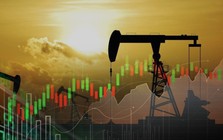 Mỹ và đồng minh công bố hàng loạt kế hoạch gỡ khó cho thị trường, giá dầu lập tức hạ nhiệt