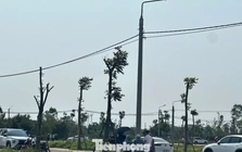 Đất nông thôn vùng quê bất ngờ 'sốt', ô tô đổ về kín đường