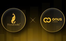 Công ty có quan hệ mật thiết với ONUS và HanaGold: Vốn mỏng, lợi nhuận cả năm chỉ vài tỷ nhưng ôm tham vọng làm sàn tài sản số