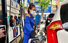 Bộ Chính trị: Giảm thiểu biến động tăng giá nguyên liệu, nhiên liệu trong nước