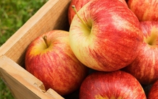 "Nuôi dạ dày chính là nuôi dưỡng sự sống": 5 loại thực phẩm "yêu thích" của niêm mạc dạ dày, nên ăn mỗi ngày, đừng tiếc!