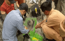 Phát hiện 32 lồng sắt bên trong khoang hàng xe khách, sự thật bên trong khiến nhiều người sửng sốt