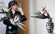 Thấy cành Bạch hạc "chảy nước mắt", tưởng hỏng hóa ra vớ được báu vật decor: Loài hoa quý tộc đang làm mưa làm gió hội nghiện Wabi-sabi sang chảnh