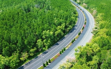 Một tuyến đường đang "đốn tim" giới trẻ TPHCM