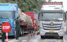 Đề xuất kéo dài tạm ngưng Nghị định 46, Nghị quyết 66.13