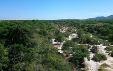 Làm rõ nguyên nhân giảm hơn 17.700 ha rừng tự nhiên ở Lâm Đồng