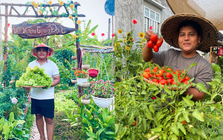 Chênh vênh ở thành phố, chàng trai 9x Vĩnh Long về quê xây "thiên đường hạ giới" với 100 triệu đồng: Trồng rau, nuôi cá và 1001 thứ hoa thơm...