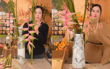 Trót mê mẩn vẻ đẹp của hoa thiên điểu rủ màu hồng: Nhớ kỹ 3 bảo bối này để hoa tươi cả tuần, cắm góc nào cũng nghệ thuật