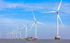 "Trùm" năng lượng tái tạo Việt Nam vừa làm điều chưa từng có