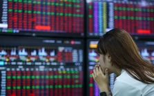 Chứng khoán tăng mạnh, dòng tiền vẫn thờ ơ