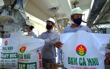 Cổ phiếu phân bón “ngược dòng” thị trường, thu hút mạnh dòng tiền “bắt đáy”