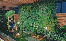 Cận cảnh khu vườn "trong mơ", được đầu tư hơn 3 tỷ đồng trên sân thượng tầng 30 tại Hưng Yên