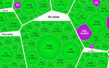 Sóng bất động sản và chứng khoán quay trở lại?
