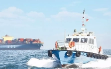 Tàu biển mang cờ Việt Nam được giảm phí vận tải