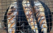 Loại cá giàu đạm, DHA gấp 3 lần cá hồi nhưng giá rẻ không bằng một nửa: Chợ Việt bán đầy