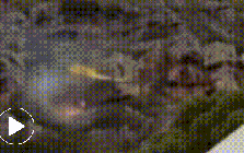 Trực thăng cứu hỏa va vách đá, rơi thẳng vào đám cháy lớn, tình trạng phi công ra sao?