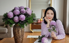 Say đắm cúc mẫu đơn tím nhưng sợ cắm lên bị già? Đừng vội mua nếu chưa biết bí mật về "mùa hoa đẹp nhất" này!