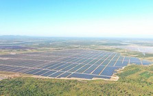 Xử phạt loạt doanh nghiệp nhóm Xuân Thiện