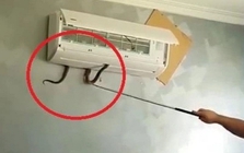 4 nơi rắn dễ bò vào nhất trong nhà, nhiều người không để ý