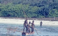 Một lon Coca-Cola du khách để lại có thể xoá sổ cả một bộ lạc
