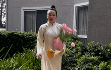 Tình hình hiện tại của Vy Oanh