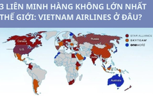 Khám phá 3 liên minh hàng không lớn nhất thế giới, Việt Nam có duy nhất Vietnam Airlines góp mặt